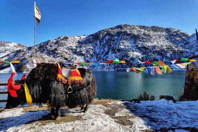 Himalayan Adventure : Gangtok | Lachung | Pelling | Kalimpong | Darjeeling